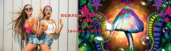 mdpv Богородицк