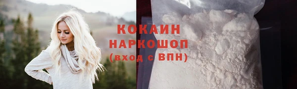 mdpv Богородицк