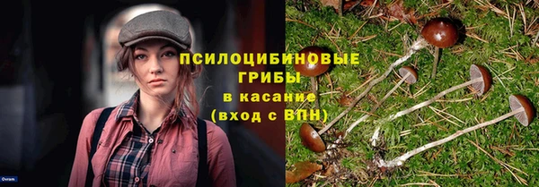 ПСИЛОЦИБИНОВЫЕ ГРИБЫ Богородск