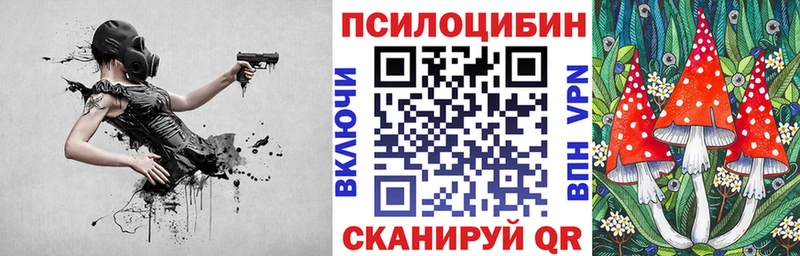 где можно купить   Сосногорск  Галлюциногенные грибы Psilocybine cubensis 